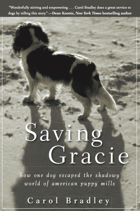 Cover image for book Saving Gracie