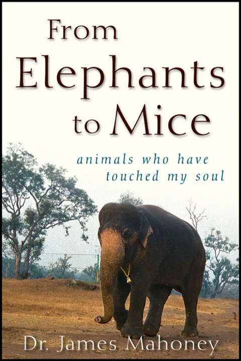 Cover image for book From Elephants to Mice