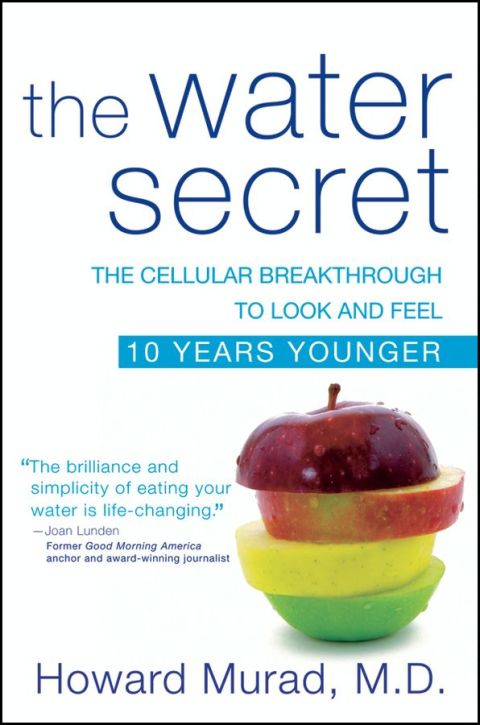 Cover image for book The Water Secret
