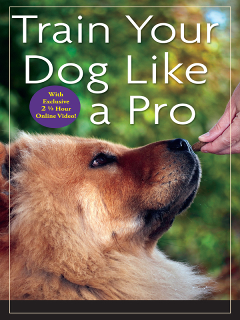 Cover image for book Train Your Dog Like a Pro