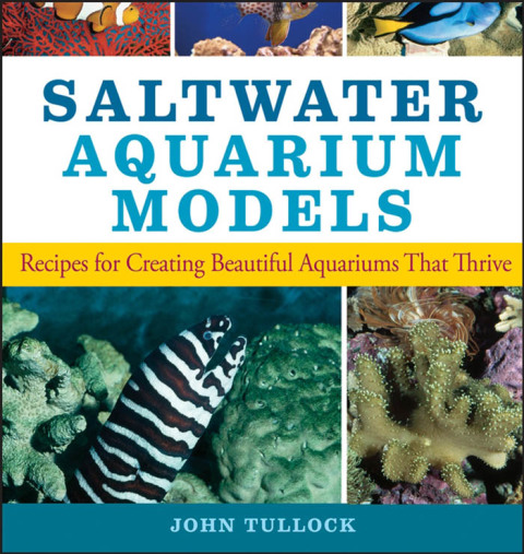 Cover image for book Saltwater Aquarium Models