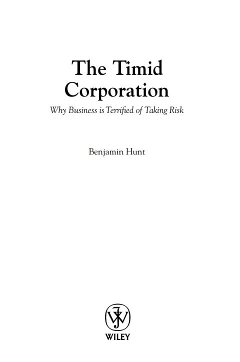 Cover image for book The Timid Corporation