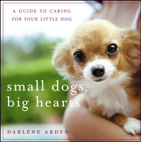 Cover image for book Small Dogs, Big Hearts