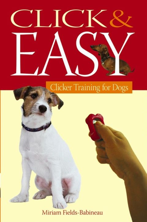 Cover image for book Click & Easy