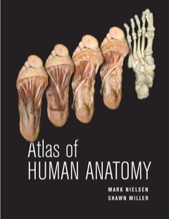 ATLAS OF HUMAN ANATOMY