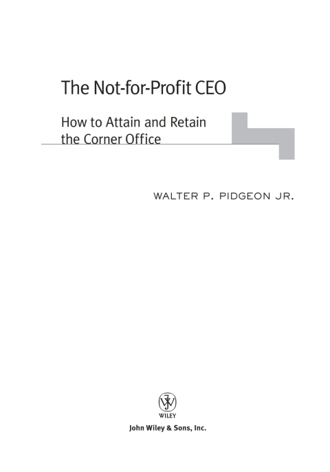 Cover image for book The Not-for-Profit CEO