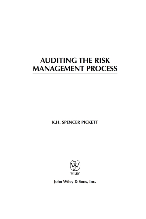 Cover image for book Auditing the Risk Management Process
