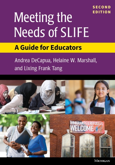 Cover image for book Meeting the Needs of SLIFE