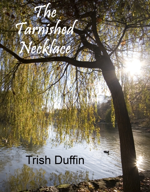 Cover image for book The Tarnished Necklace