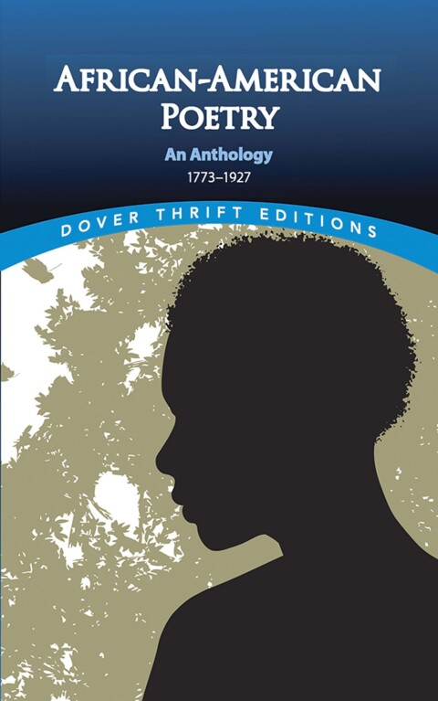 Cover image for book African American Poetry