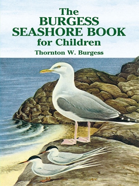 Cover image for book The Burgess Seashore Book for Children