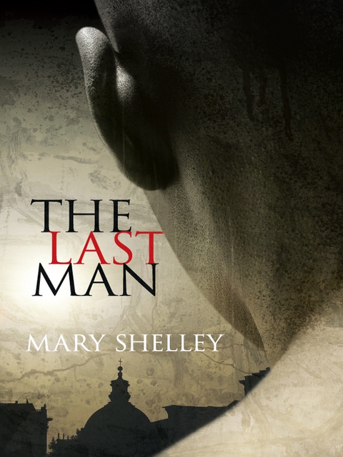 Cover image for book The Last Man