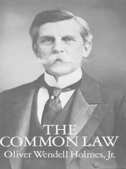 Cover image for book The Common Law