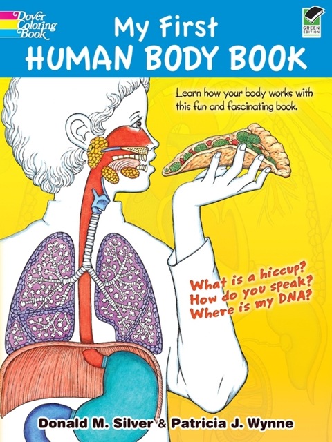 Cover image for book My First Human Body Book