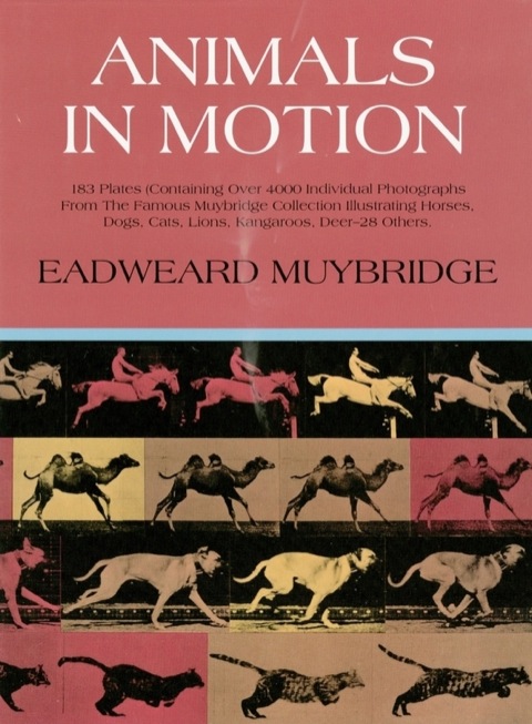 Cover image for book Animals in Motion