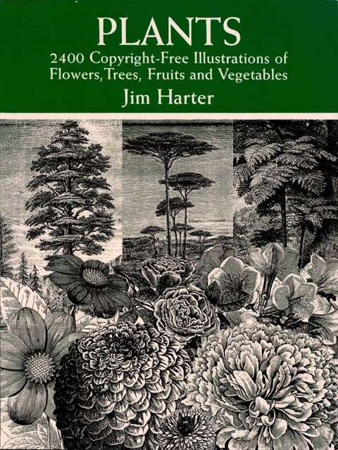 Cover image for book Plants