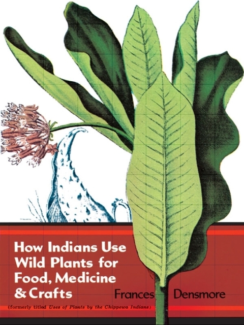 Cover image for book How Indians Use Wild Plants for Food, Medicine & Crafts