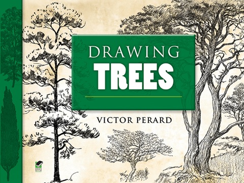 Cover image for book Drawing Trees