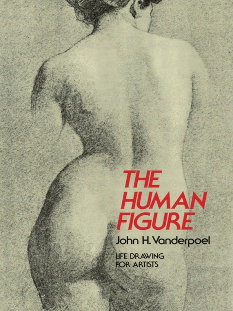 Cover image for book The Human Figure