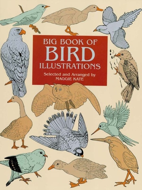Cover image for book Big Book of Bird Illustrations