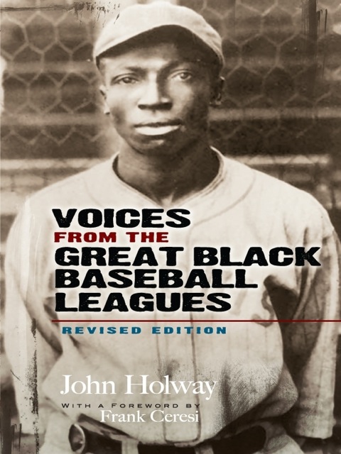 Cover image for book Voices from the Great Black Baseball Leagues