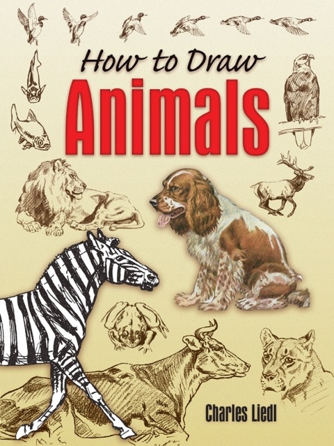 Cover image for book How to Draw Animals