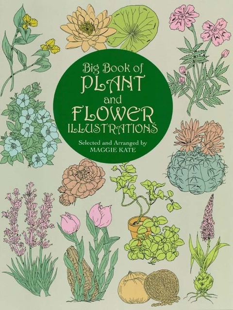 Cover image for book Big Book of Plant and Flower Illustrations