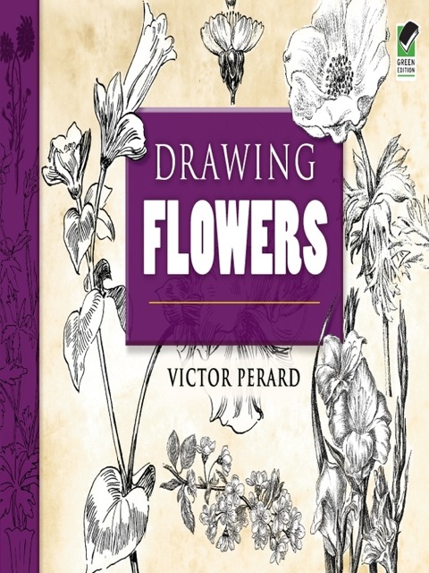 Cover image for book Drawing Flowers