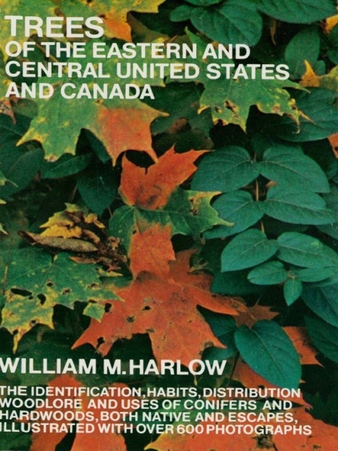 Cover image for book Trees of the Eastern and Central United States and Canada