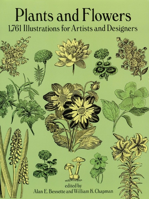 Cover image for book Plants and Flowers