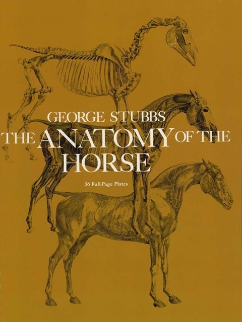 Cover image for book The Anatomy of the Horse