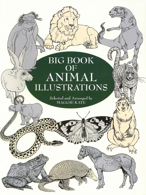 Cover image for book Big Book of Animal Illustrations