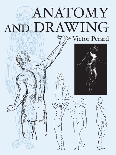 Cover image for book Anatomy and Drawing