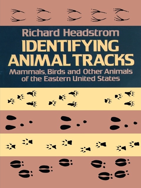 Cover image for book Identifying Animal Tracks