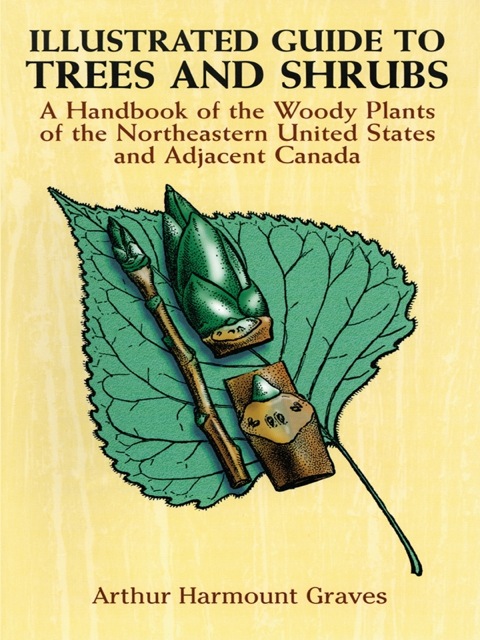 Cover image for book Illustrated Guide to Trees and Shrubs