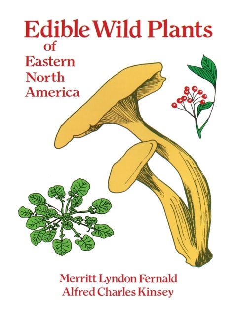Cover image for book Edible Wild Plants of Eastern North America