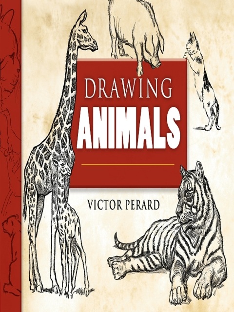 Cover image for book Drawing Animals