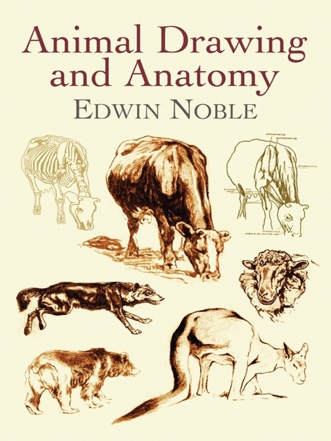 Cover image for book Animal Drawing and Anatomy