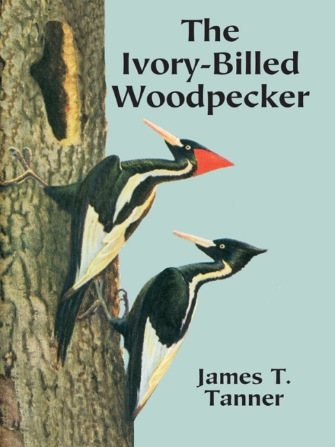 Cover image for book The Ivory-Billed Woodpecker