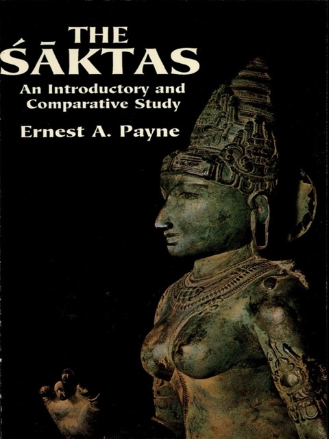 Cover image for book The Saktas