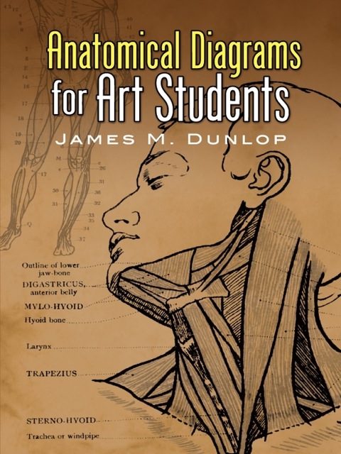 Cover image for book Anatomical Diagrams for Art Students