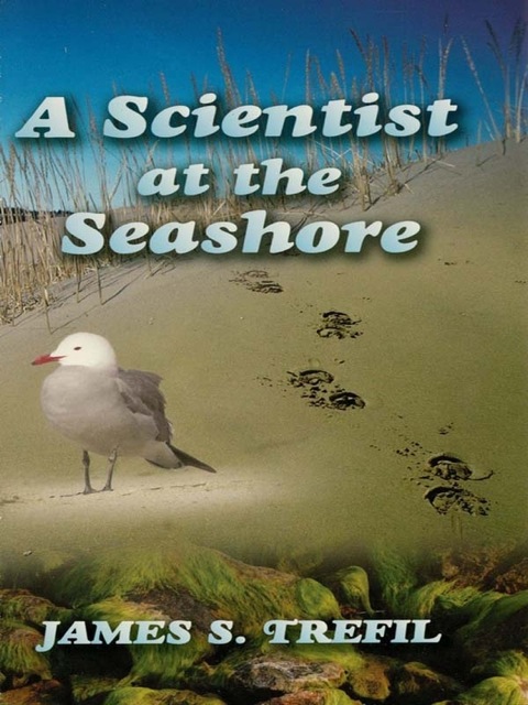 Cover image for book A Scientist at the Seashore
