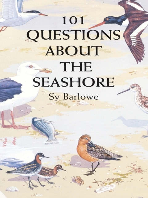 Cover image for book 101 Questions About the Seashore