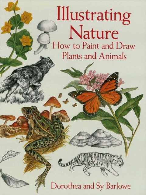 Cover image for book Illustrating Nature