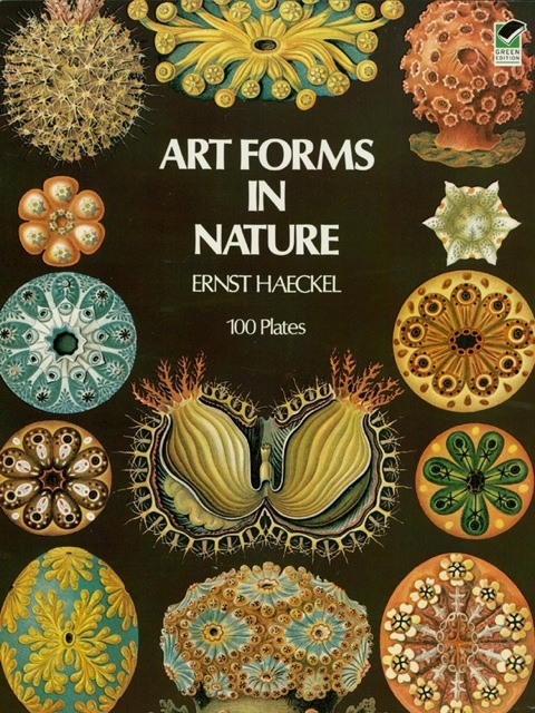 Cover image for book Art Forms in Nature