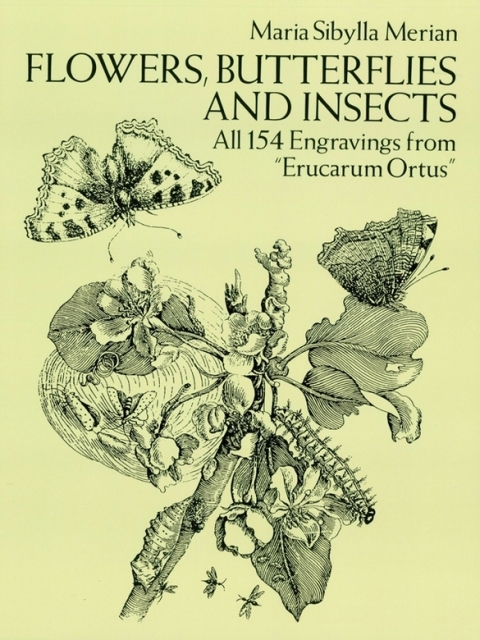 Cover image for book Flowers, Butterflies and Insects