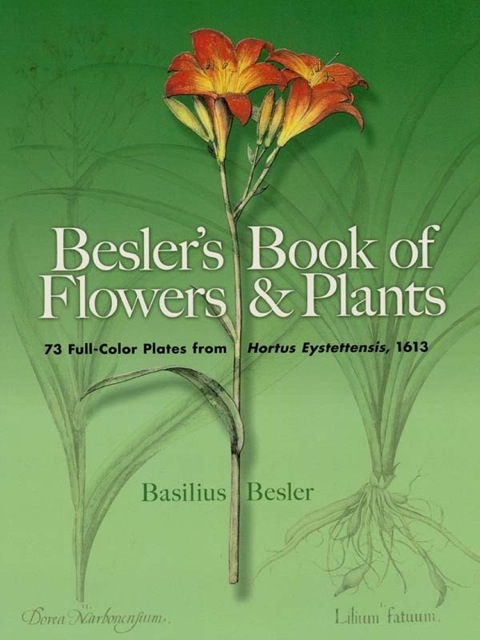 Cover image for book Besler's Book of Flowers and Plants
