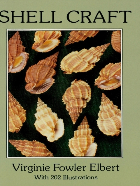 Cover image for book Shell Craft