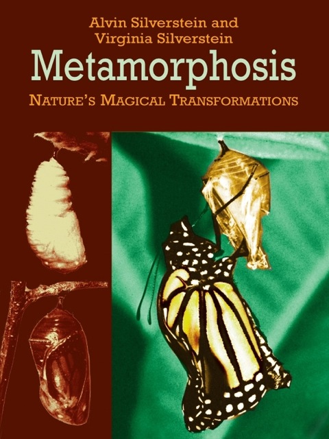 Cover image for book Metamorphosis