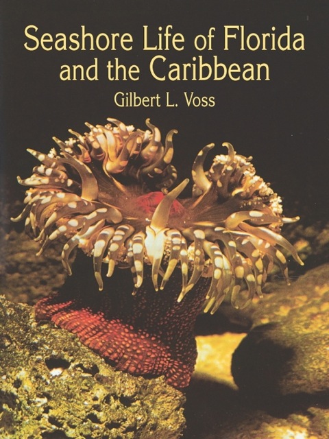 Cover image for book Seashore Life of Florida and the Caribbean
